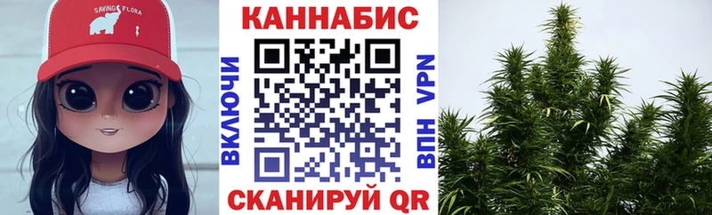 Купить где  Новая Ладога  Каннабис ГИДРОПОН 